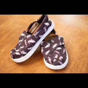 Shark theme Toms shoes